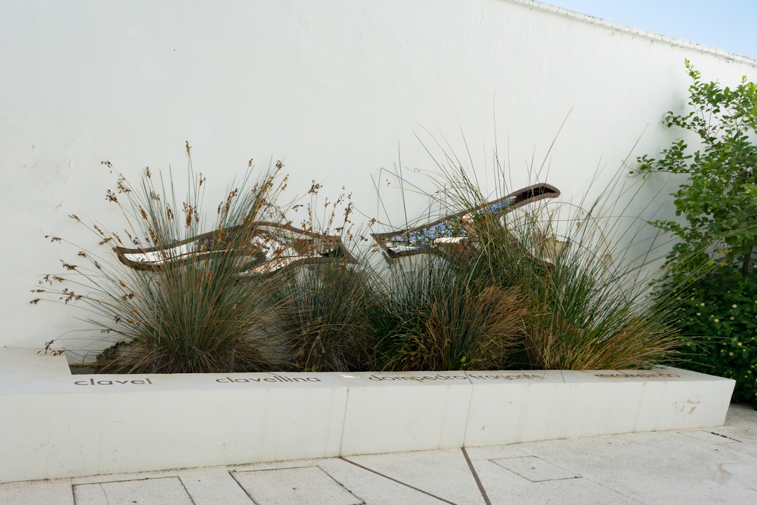 20171005 112017 , Cordoba, Andalusia, Spain